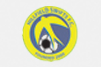 Pricing 3 Medium-Logo-Vectorization